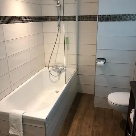 L'alpin Hotel 3*